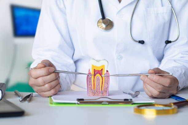 Best Broken or Cracked Tooth Emergency Dentist in Grover, WY